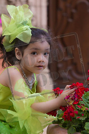 Daphne_Pre_0065
