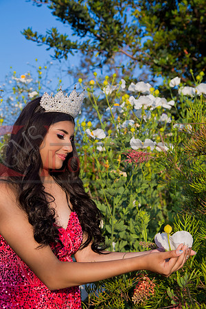 IMG_1168-Edit