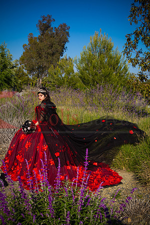 IMG_8465-Edit