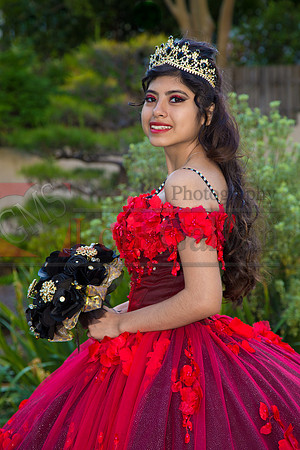 IMG_8595