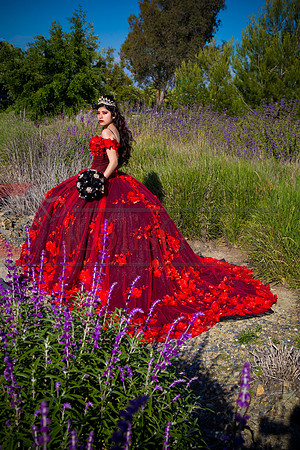 IMG_8450-Edit