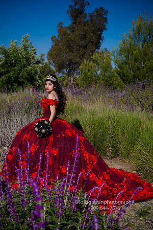 IMG_8452-Edit