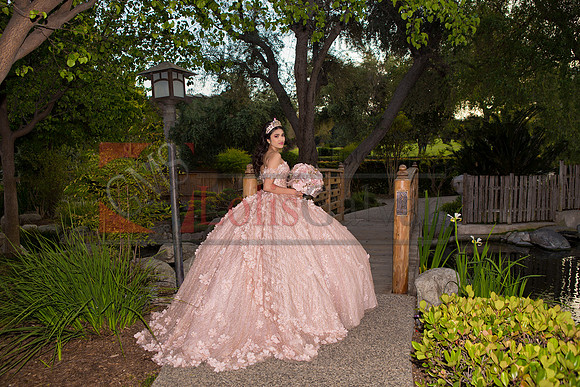 IMG_6942-Edit