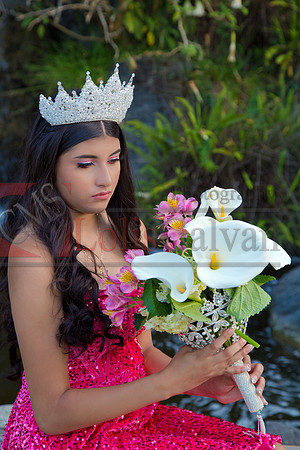 IMG_1217-Edit