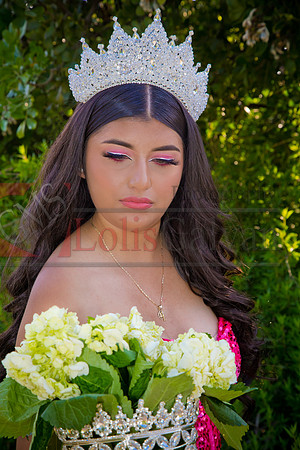 IMG_1037-Edit-Edit