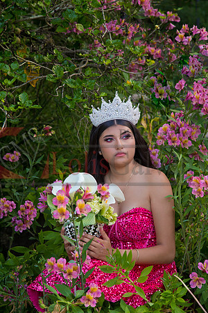 IMG_1257-Edit