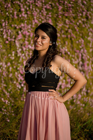 Ashley_Pre_113
