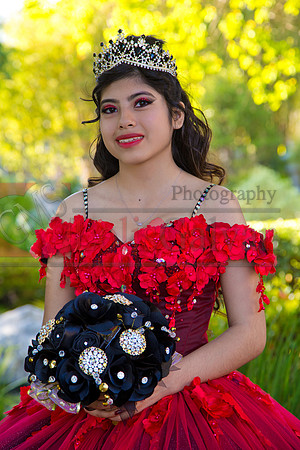 IMG_8488