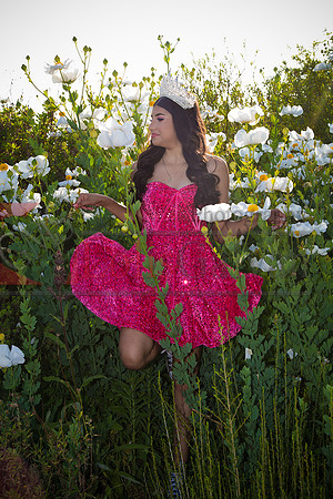IMG_1078-Edit