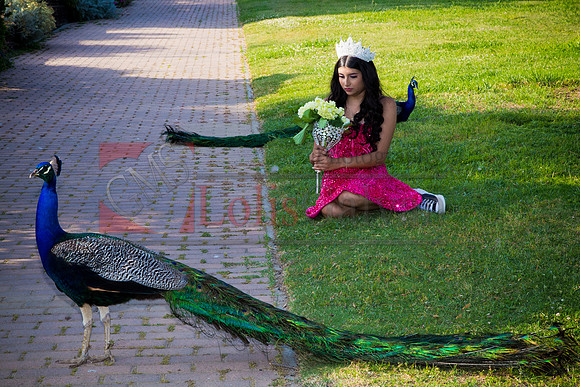 IMG_1050-Edit