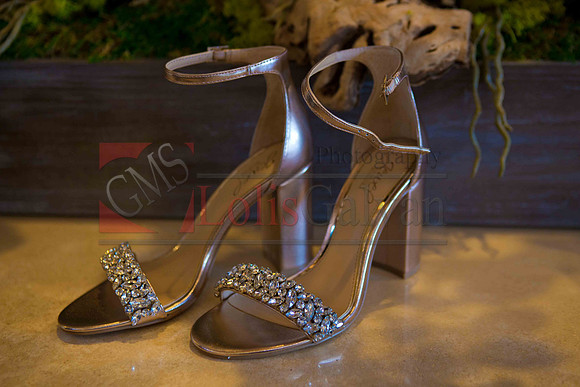 Weslie & Marissa Wedding _0030