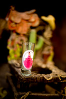 Rosy_Event_0009