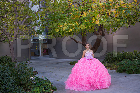 Emily_Pre_135
