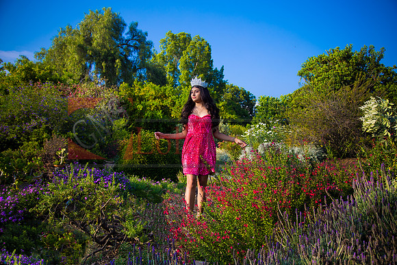 IMG_1131-Edit