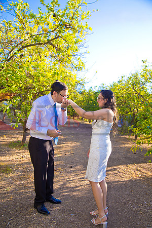 IMG_7175-Edit-Edit