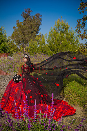 IMG_8463-Edit-Edit