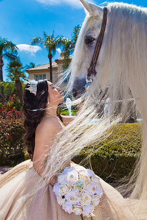 IMG_1489-Edit