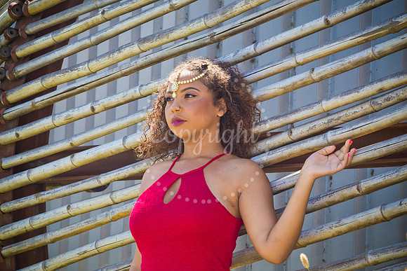 Anaya_Pre_044