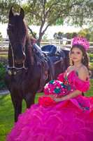 IMG_1531-Edit