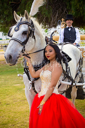 Ahniyah_sarea-darlene_Event_100