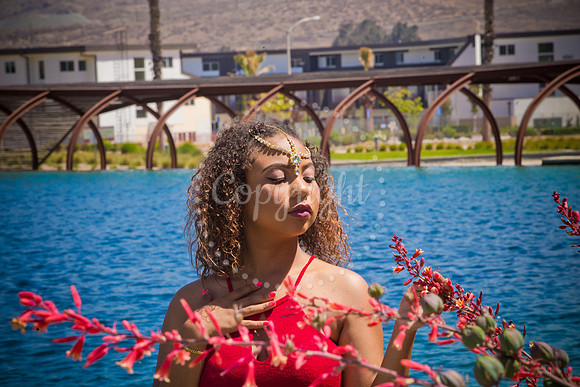 Anaya_Pre_064