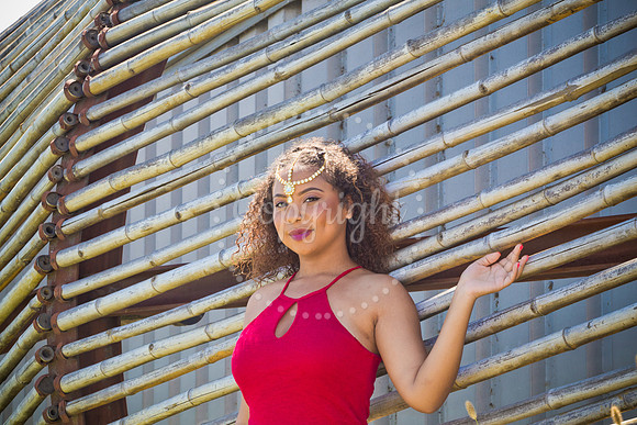 Anaya_Pre_042