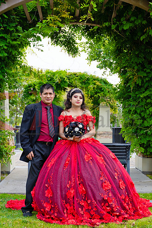 img--8
