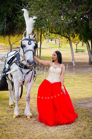 Ahniyah_sarea-darlene_Event_118
