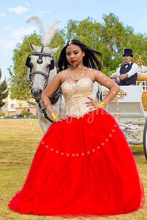 Ahniyah_sarea-darlene_Event_171