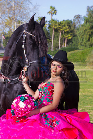 IMG_1763-Edit