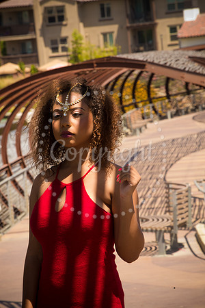 Anaya_Pre_138