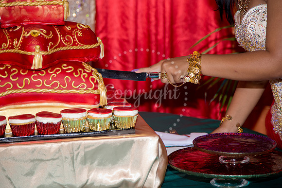 Ahniyah_sarea-darlene_Event_345