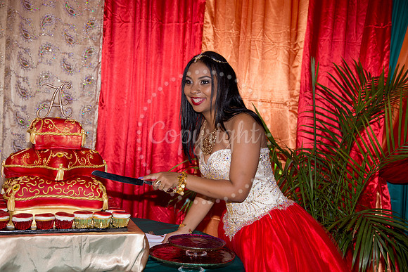 Ahniyah_sarea-darlene_Event_341