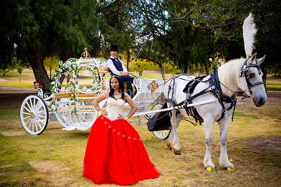 Ahniyah_sarea-darlene_Event_129