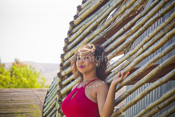 Anaya_Pre_053