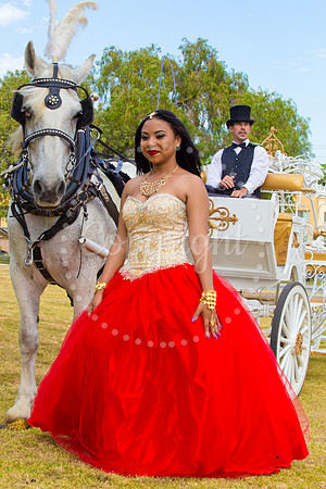 Ahniyah_sarea-darlene_Event_169