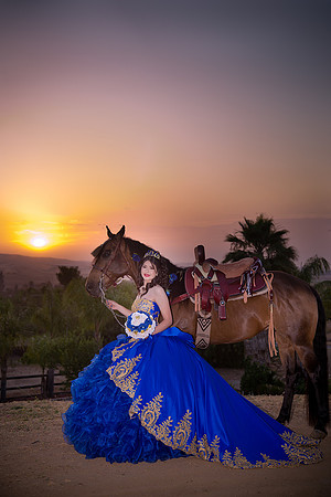 IMG_4355-Edit-Edit