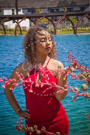 Anaya_Pre_061