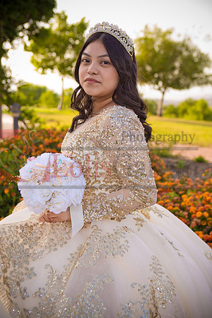 IMG_7410-Edit-Edit