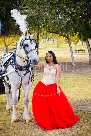 Ahniyah_sarea-darlene_Event_121