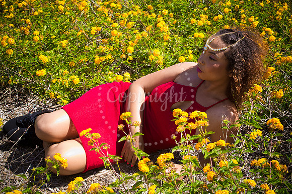 Anaya_Pre_073