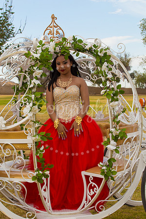 Ahniyah_sarea-darlene_Event_198