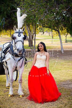 Ahniyah_sarea-darlene_Event_115