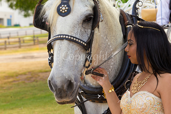 Ahniyah_sarea-darlene_Event_097