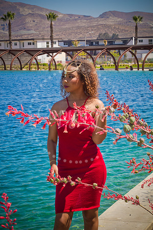 Anaya_Pre_059