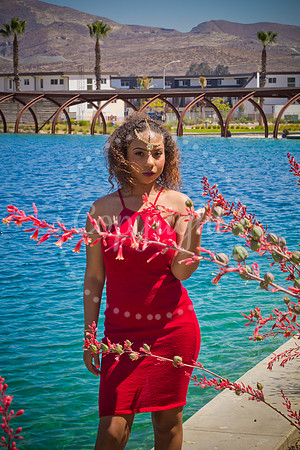 Anaya_Pre_058