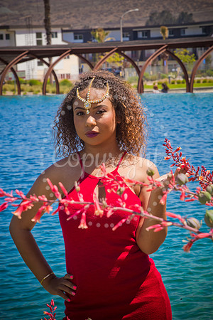 Anaya_Pre_060