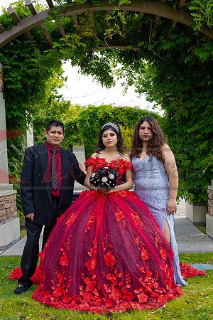 img--1