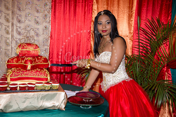 Ahniyah_sarea-darlene_Event_342