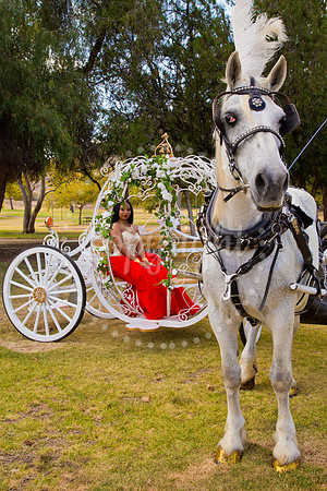 Ahniyah_sarea-darlene_Event_149